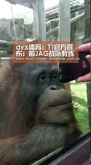 ayx体育:T1官方宣布:前JAG战队教练Moment加盟(图1) ayx体育