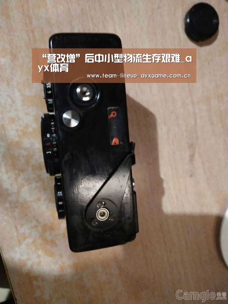 “营改增”后中小型物流生存艰难_ayx体育(图3) ayx体育