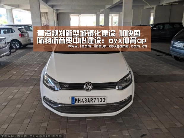 青海规划新型城镇化建设 加快国际物流商贸中心建设:ayx体育app(图1) ayx体育app