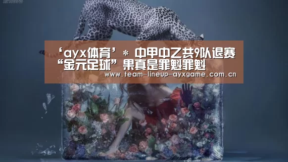 ayx体育