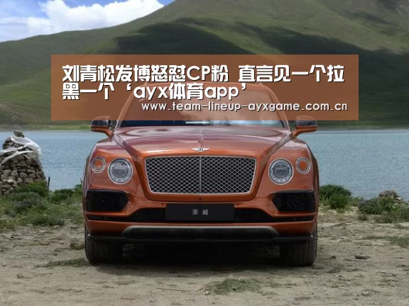 刘青松发博怒怼CP粉 直言见一个拉黑一个‘ayx体育app’(图2) ayx体育
