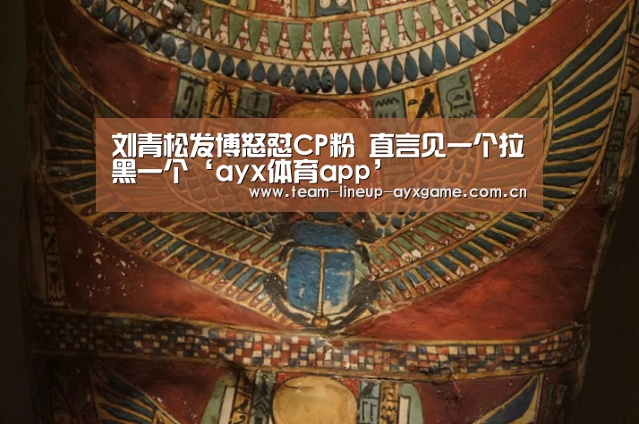 刘青松发博怒怼CP粉 直言见一个拉黑一个‘ayx体育app’(图3) ayx体育app