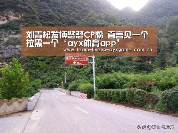 刘青松发博怒怼CP粉 直言见一个拉黑一个‘ayx体育app’(图1) ayx体育
