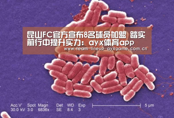 昆山FC官方宣布8名球员加盟 踏实前行中提升实力:ayx体育app(图2) ayx体育app