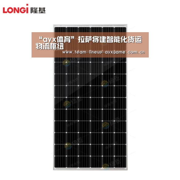 “ayx体育”拉萨将建智能化货运物流枢纽(图1) ayx体育